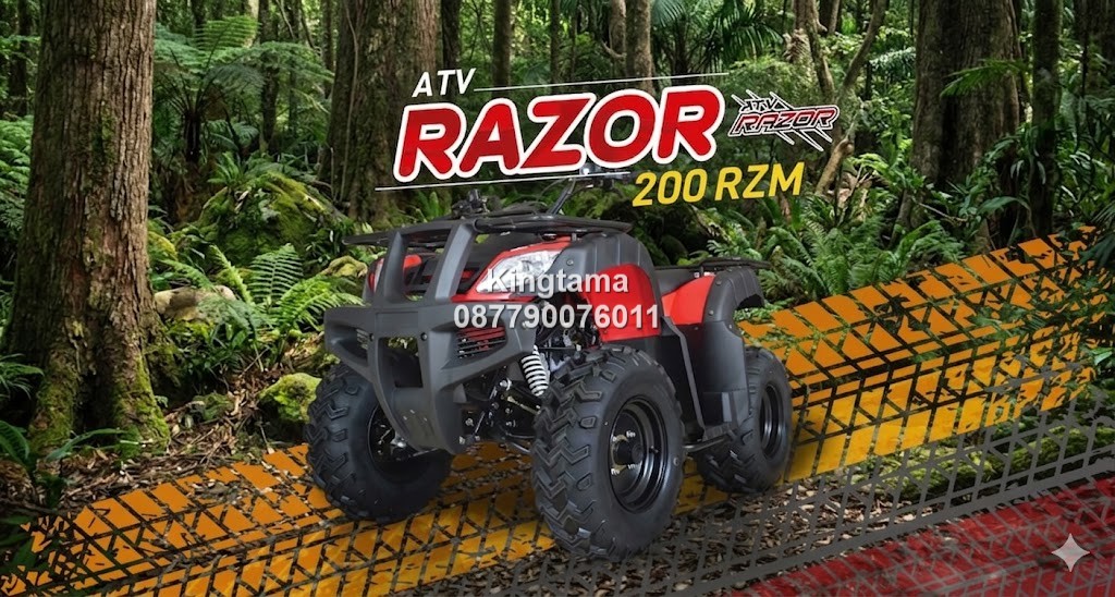 Motor ATV Viar Razor 200 RZM