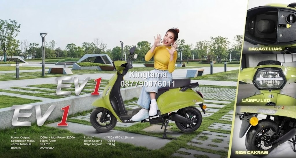 Motor Listrik Viar EV1