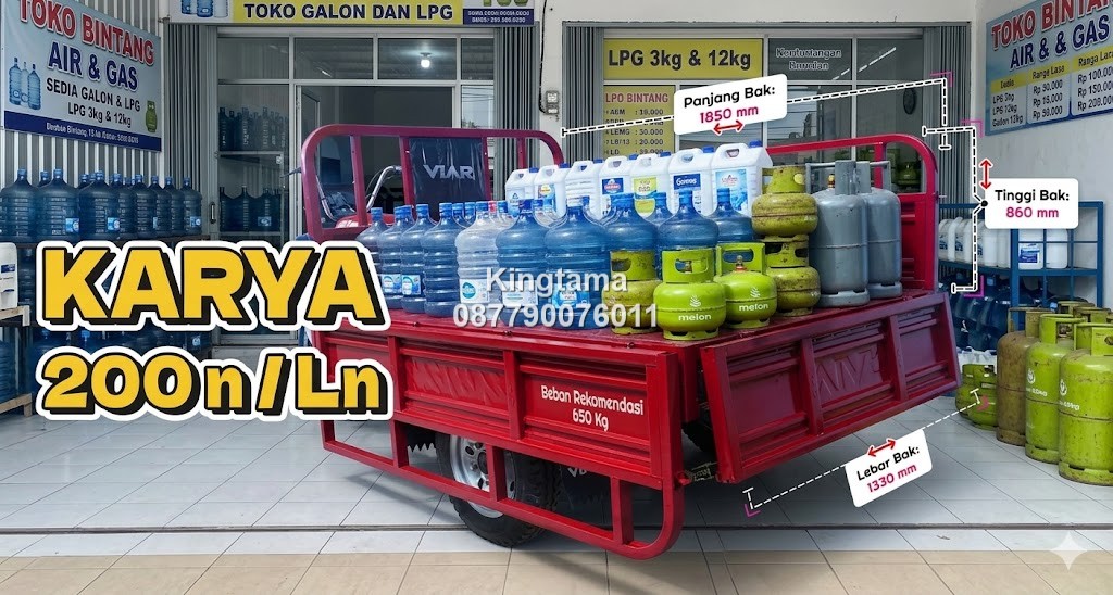 Motor roda tiga Viar KARYA 200 Ln