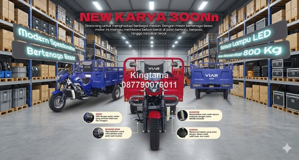 Motor roda tiga Viar KARYA 300 N