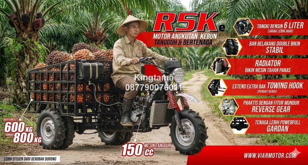 Motor Agri Viar R5Ke